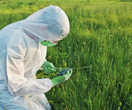 Scientist in biohazard uniform examines green plant on summer meadowの写真素材