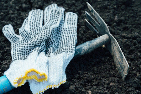 Gardening hoe and gloves on landの写真素材