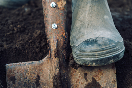 Unrecognizable man digs by shovel land in garden, close-upの写真素材