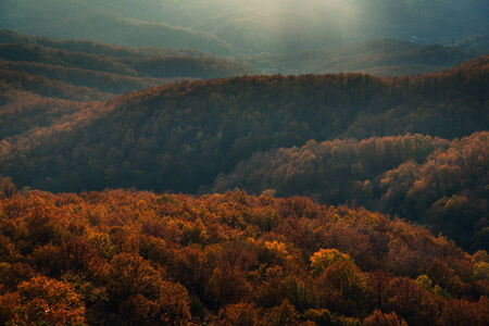 Beautiful landscape of mountains in yellow autumn season. Sunset over the mountains. Colorful autumn trees in yellow and red huesの写真素材
