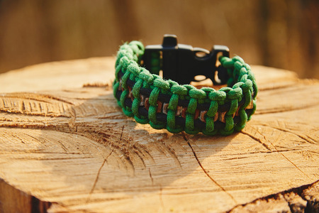 Bracelet paracord on a tree trunk in autumn forest, no peopleの写真素材