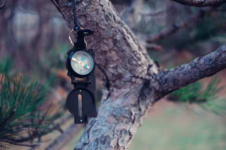 Compass for travel and hiking on tree outdoor