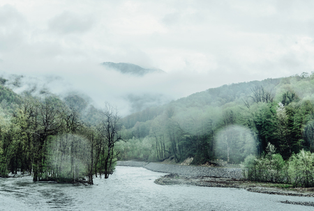 Rainy weather in summer mountains, river among forestの写真素材