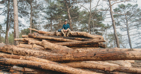 Traveler young man resting on stack of tree trunks in the pine forest outdoorの写真素材