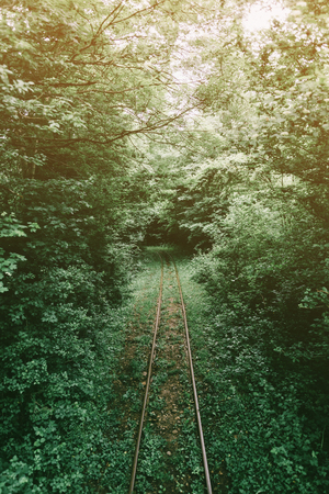 Old narrow-gauge railway in summer forest.の写真素材