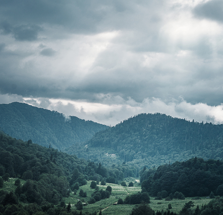 Mountain valley with green forest in cloudy rainy weather in summer season.の写真素材