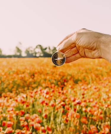 Male hand with compass searching direction on background of red poppies meadow in summer day, point...