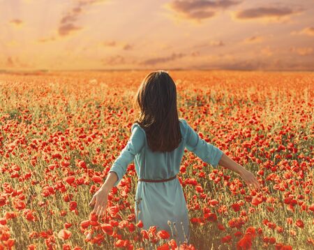 Unrecognizable young woman walking through poppy meadow and touching flowers, summer vacations.の写真素材