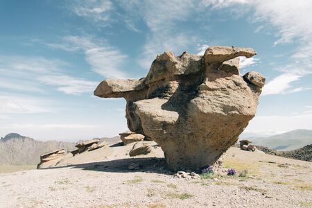 Stone mushrooms on northern slope of mountain Elbrus , 3200 meters above sea level. National park,...