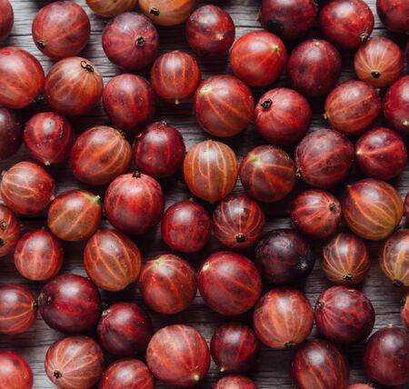 Red gooseberries, textureの写真素材