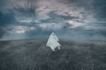 Ghost walking on meadow at Halloween night, birds flying in dark cloudy sky.の写真素材