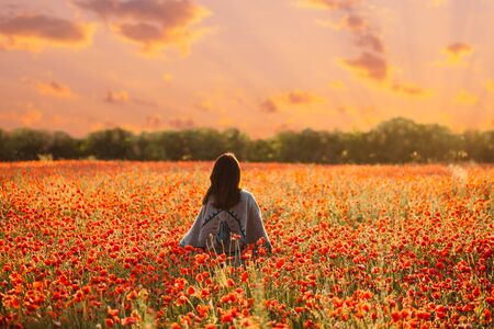 Rear view of unrecognizable woman wearing in poncho walking in red poppy flowers meadow at sunset.の写真素材