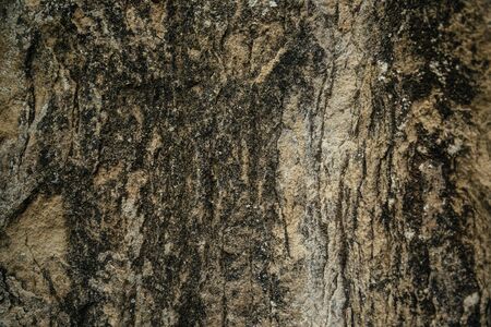 Stone texture, old geological background