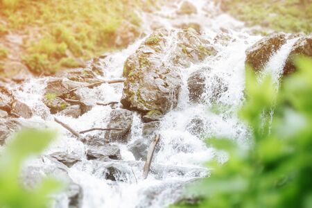 Mountain stream flowing among stones on sunny summer day.