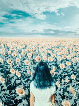 Back view of woman standing in blooming sunflowers field on sunny summer day. Image with cyan color effect.の写真素材
