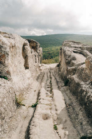View of the squeezed out trail of the carts.の写真素材