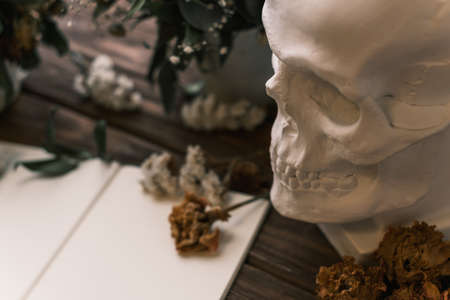 Notebook or diary with dried flowers and a skull.の写真素材