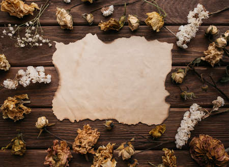 Blank vintage paper among dry flowers, copy-space.