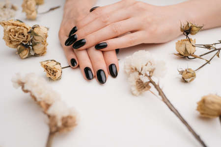 Female hands with dark color manicure and dry flowers.の写真素材