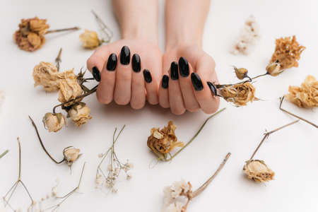 Female hands with black manicure holding dry roses.の写真素材