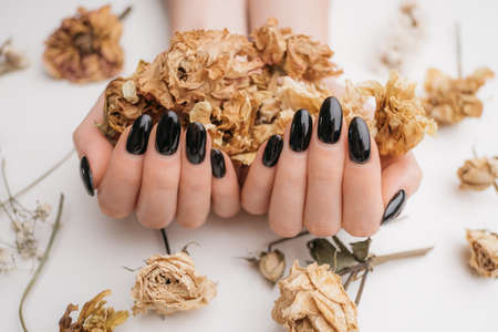 Close up view of black manicure on female hands. Woman holds dry flowers in her hands.
