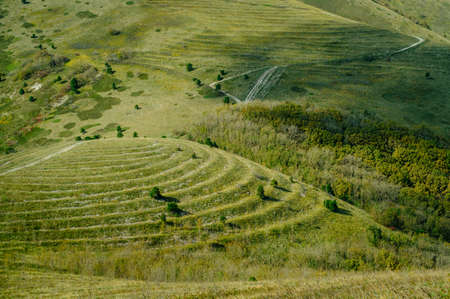 Terraces for trees on the Markoth ridge in Gelendzhik.の写真素材