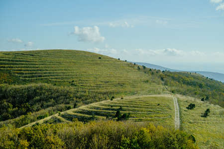 Landscape with terraces of trees on the Markoth ridge in Gelendzhik.の写真素材