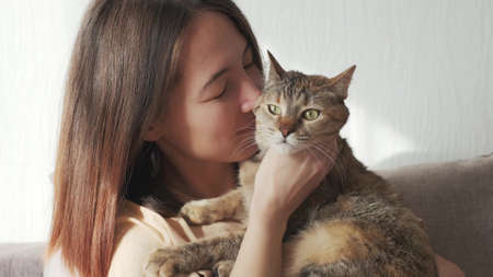 Woman playing with a cat.の写真素材