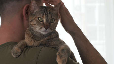 Man stroking a cat on his shoulder.の写真素材