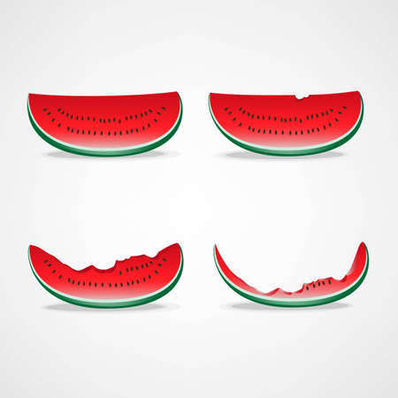 Bitten slices of watermelonのイラスト素材