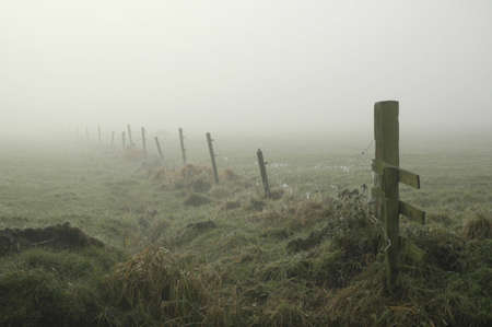 Misty meadow on a winters dayの写真素材
