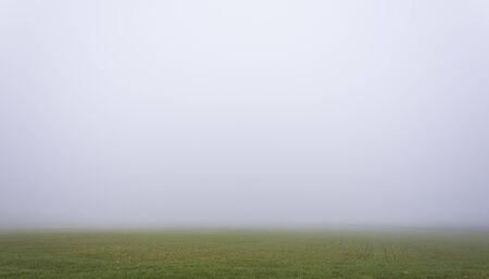 Green meadow with a lot of fog and without any object to be visualized