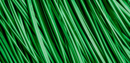 diagonal stripes natural macro abstraction greenの写真素材