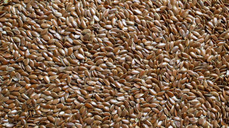 flax seed wallpaper from seedの写真素材