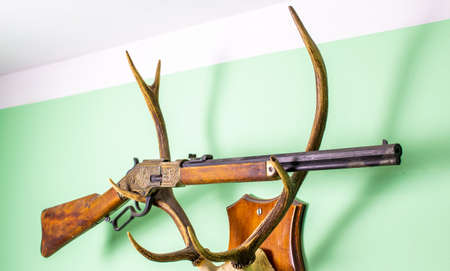 deer antlers. fallow deer hunting trophy. with an old winchester shotgun