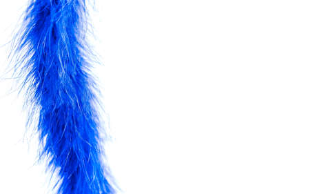 tail with fine feathers. blue fine feathers on a white background.の写真素材