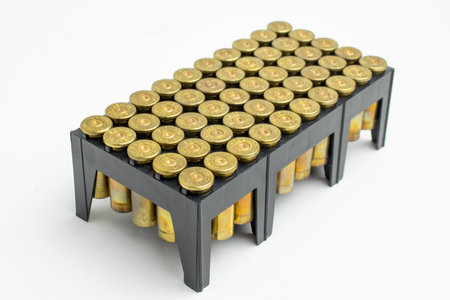 brass pistol shells in a container 50 pcsの写真素材