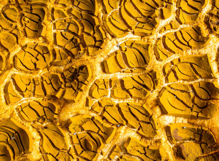 yellow cracked precipitate of iron hydroxide. dry lake bottom. macroの写真素材