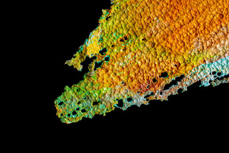 Oxidized copper, abstraction. Natural orange, blue. green yellow background with patina rusty copper plateの写真素材