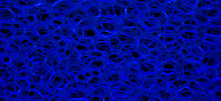 Blue sponge. 3D structure, background, texture.の写真素材