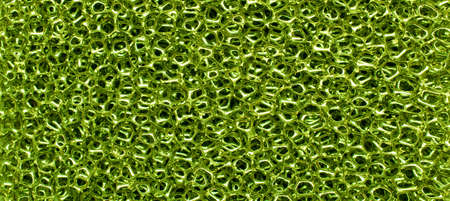 Green sponge. 3D structure, background, texture.の写真素材