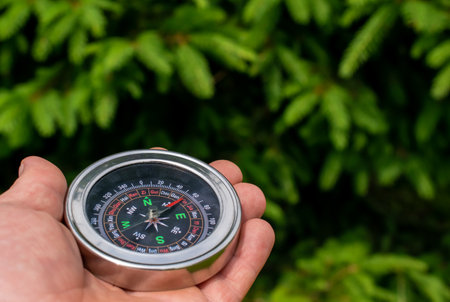 compass in hand on the background of treesの写真素材