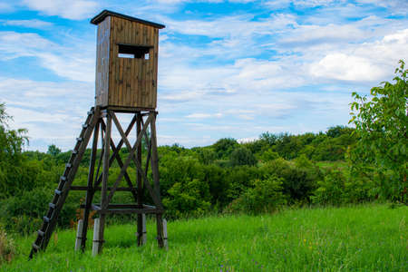 wooden hunting desktop on the edge of the forestの写真素材