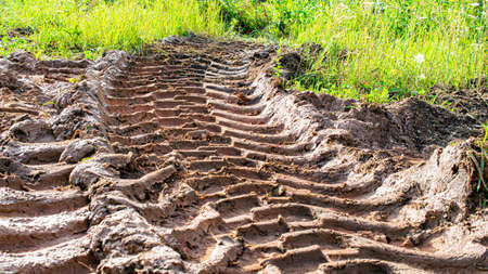 Tire tread marks in mud or clay, texture