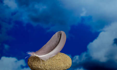 a bird's feather lying on a stone with a sky backgroundの写真素材