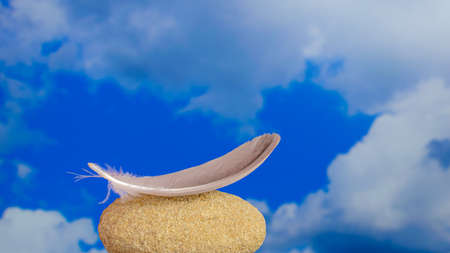 a bird's feather lying on a stone with a sky backgroundの写真素材