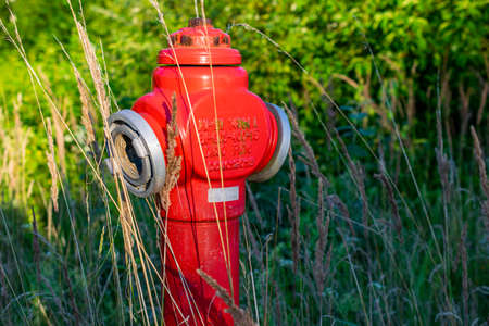 roadside red fire hydrant among grasses