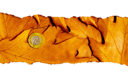 autumn background with golden leaves
