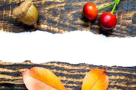 space for text, blank note on a notice board. autumn background with leavesの写真素材