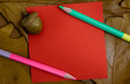 Blank note on a notice board. autumn background with leaves